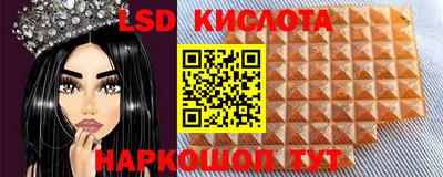 ПСИЛОЦИБИНОВЫЕ ГРИБЫ Можга