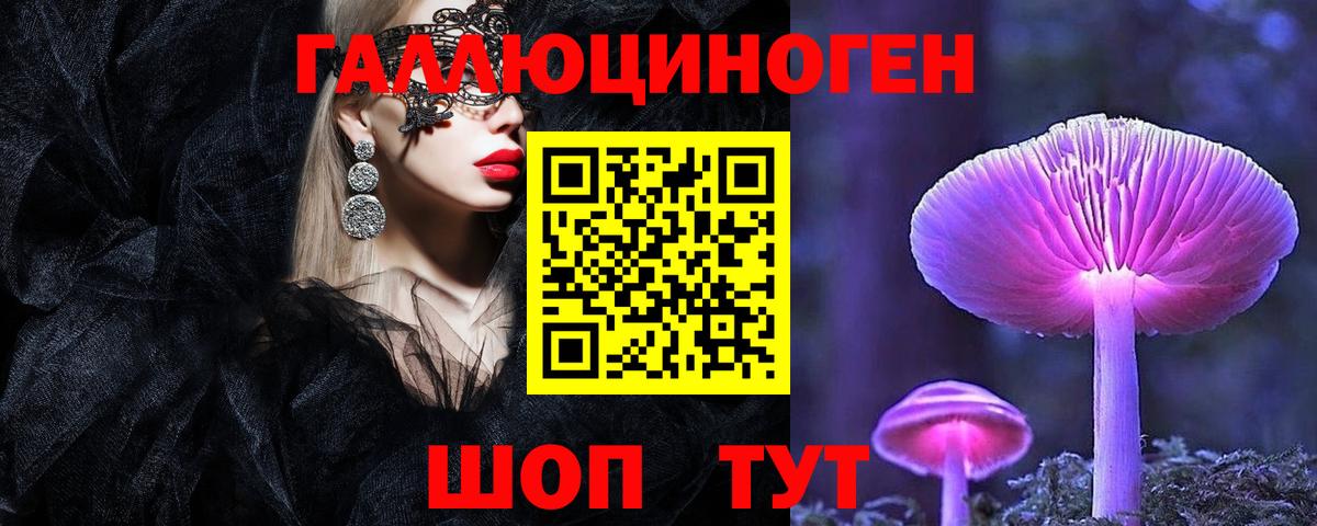 Галлюциногенные грибы Psilocybe  наркошоп  Сызрань  Вход с VPN 